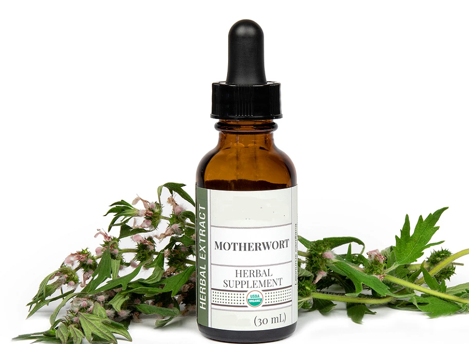 Motherwort Extract Motherwort Extract