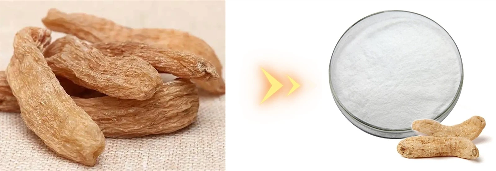 gastrodin-powder gastrodin-powder