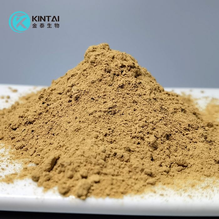 síberískt ginseng duft