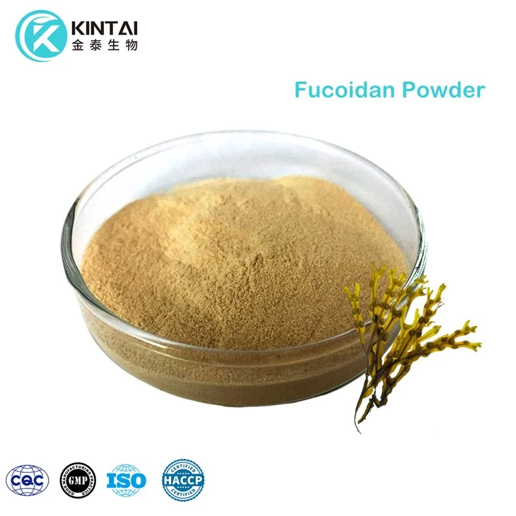 Fucoidan duft
